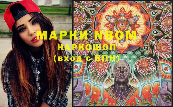 apvp Няндома