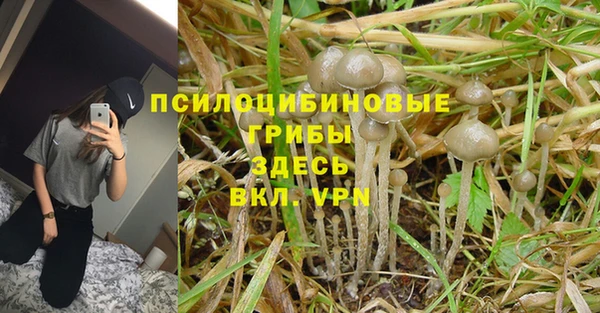 МДПВ Осташков